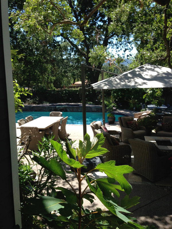 Backyard